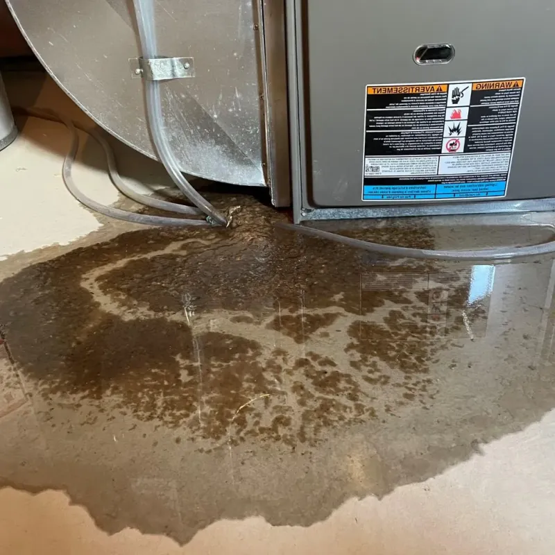 Pipe Burst and Leak Restoration in Haworth, NJ