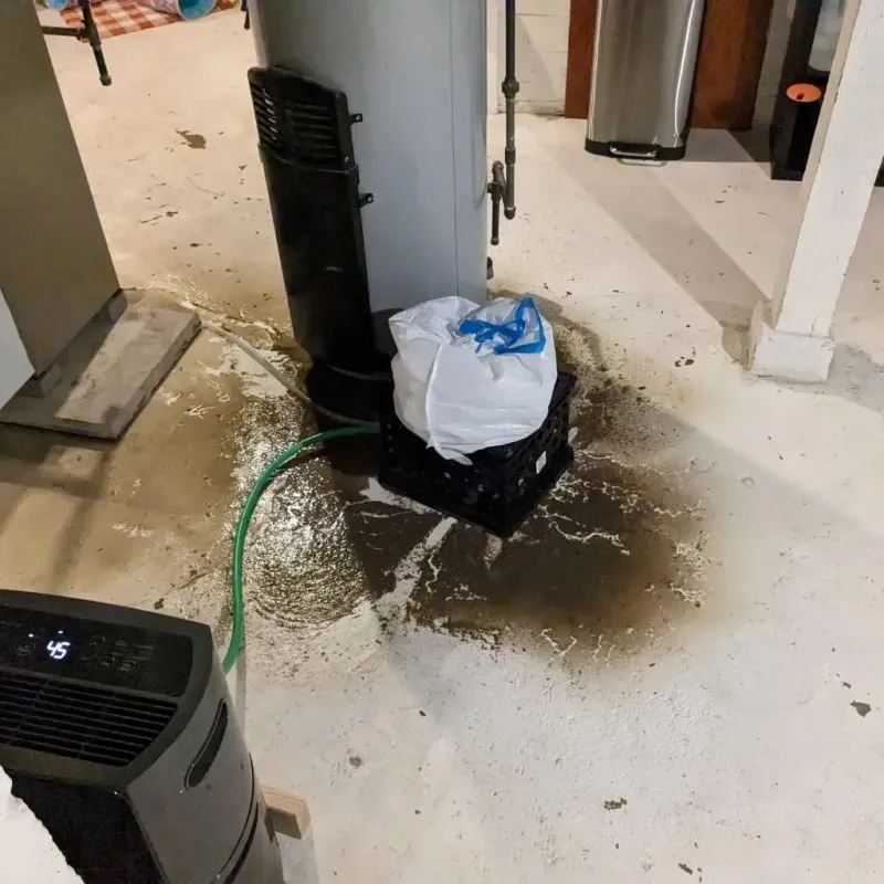 Sewage Backup Cleanup Service in Haworth, NJ